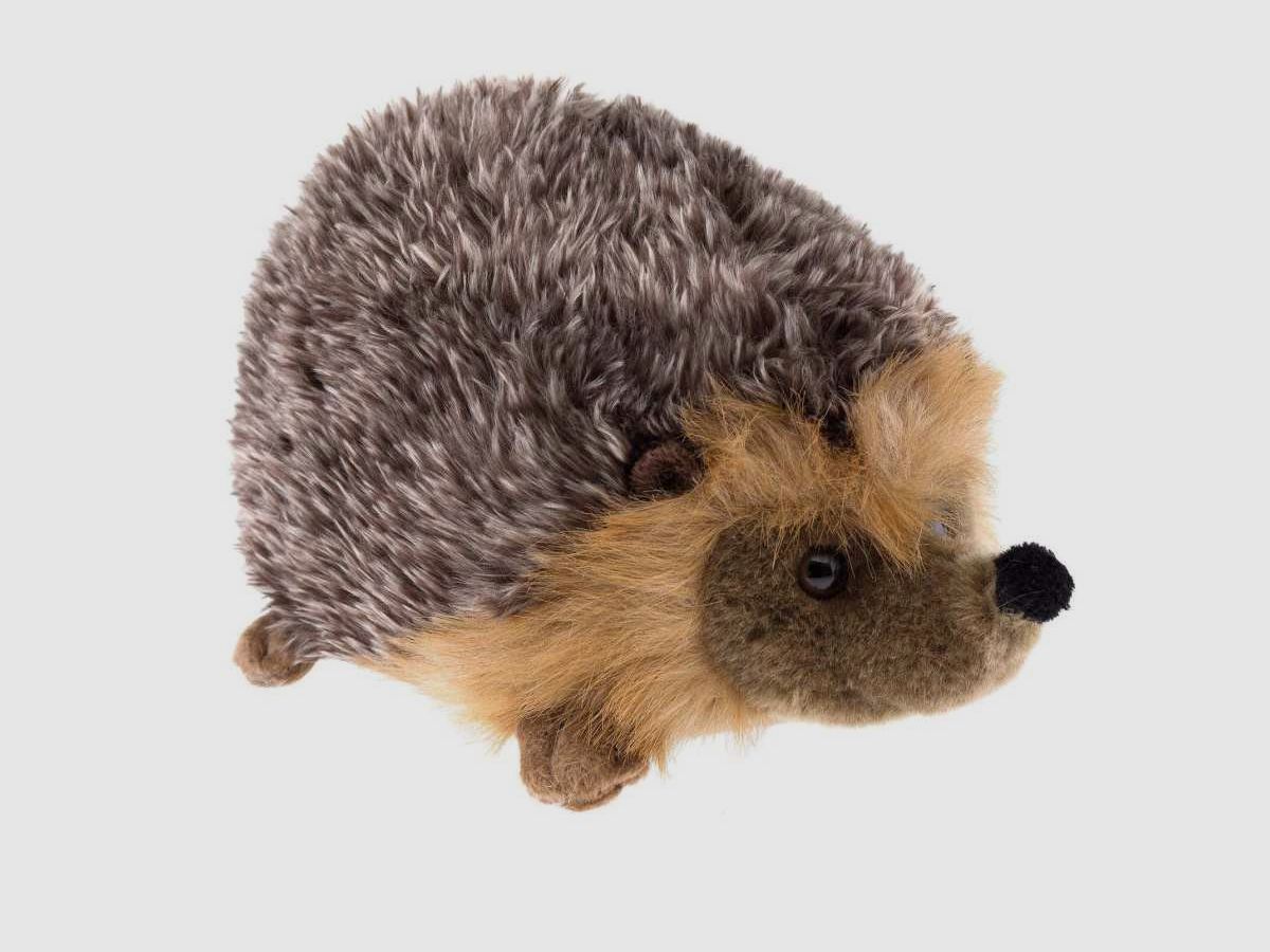 Igel Plüsch