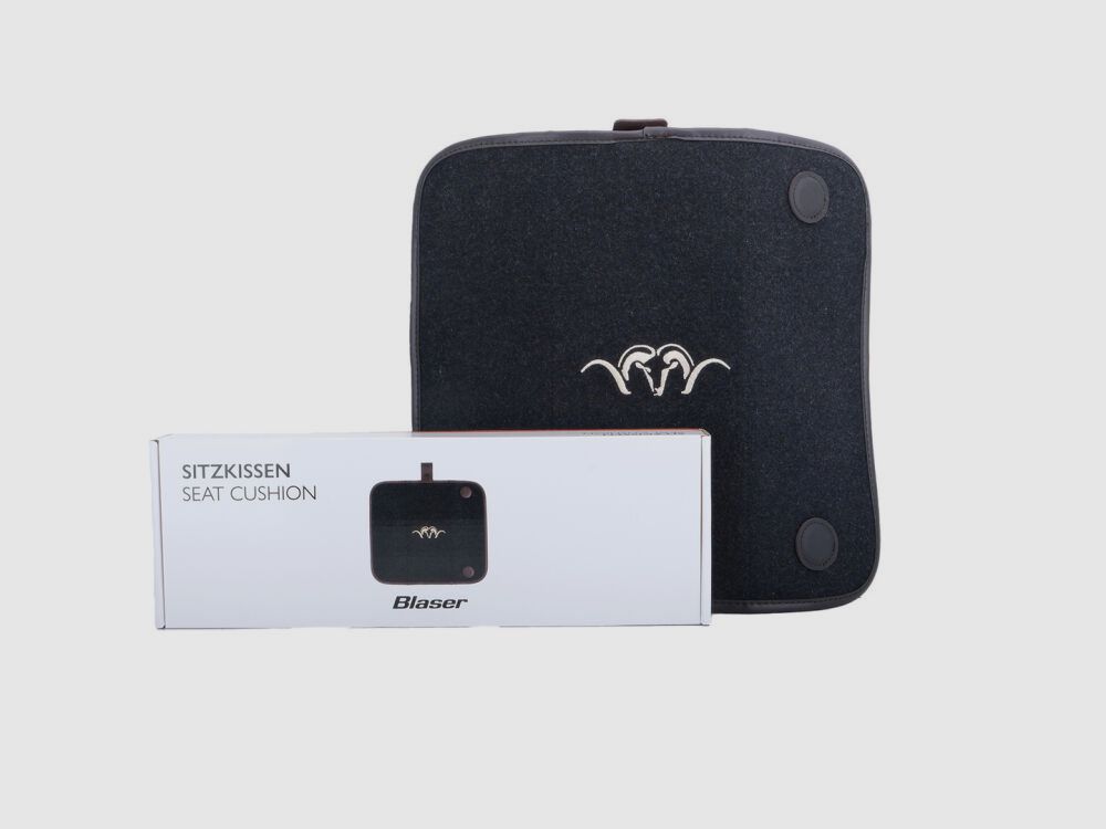 Blaser Sitzkissen
