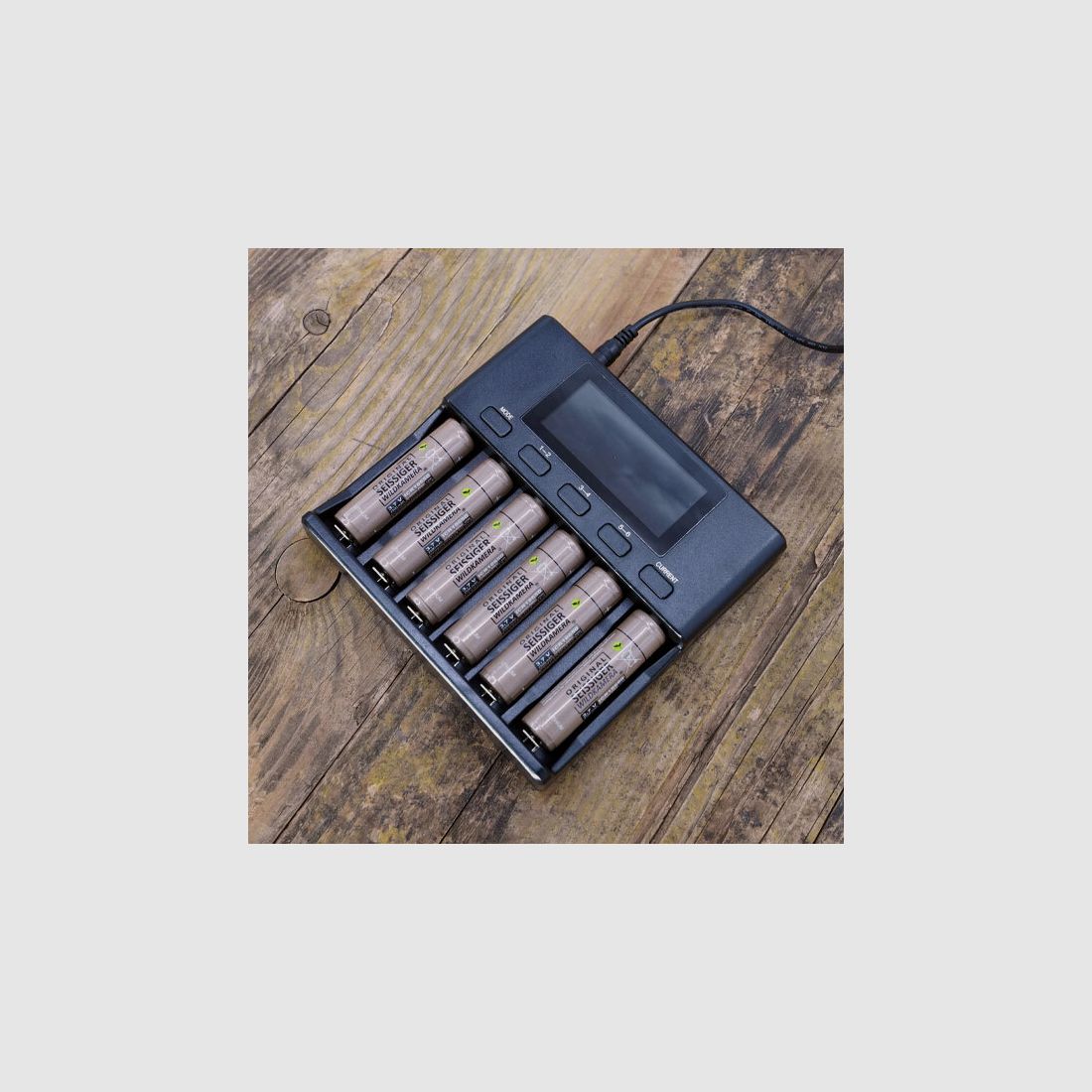 Seissiger Caricabatterie - 6 volte per batterie a palo
