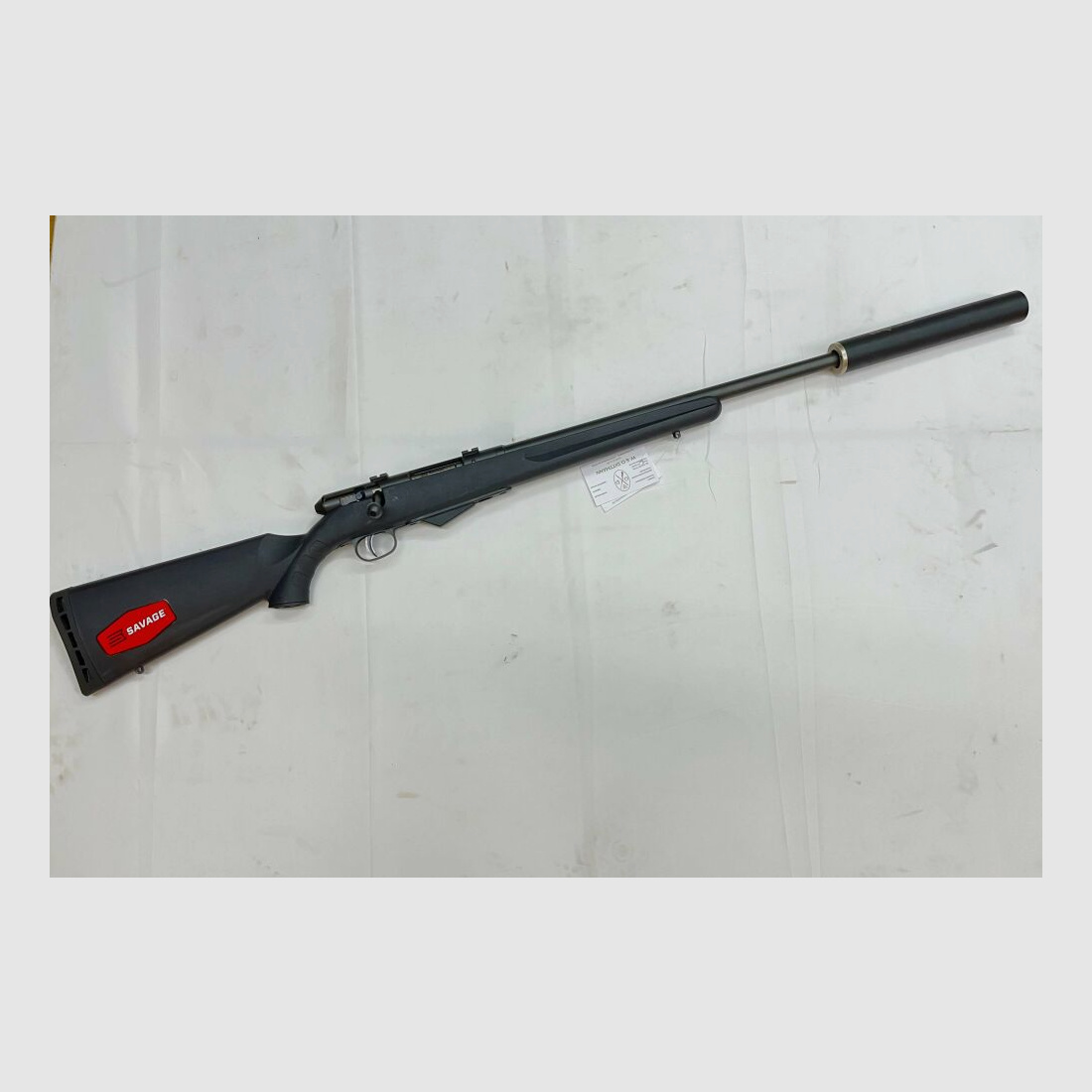 Savage Walking Varminter .17Hornet