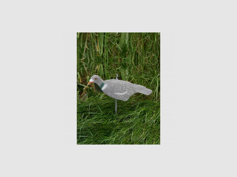 il Lago Passion Ringeltaube Halbschale (beflockt) |