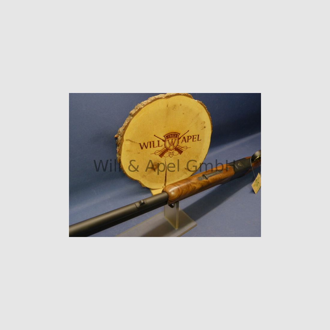 Akkar Churchill Lady Black