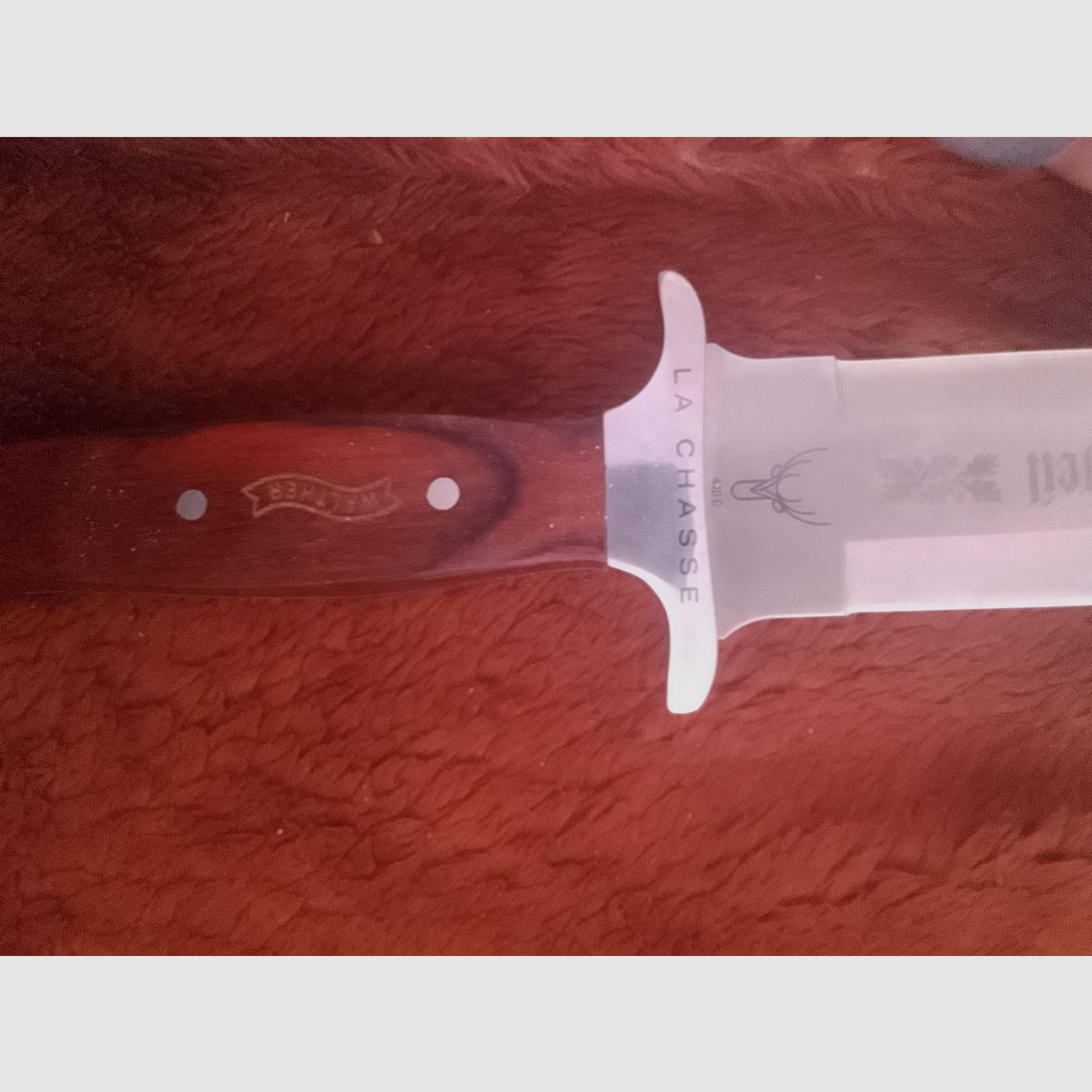 Cuchillo Walter Saufänger