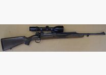 Alljagd 310