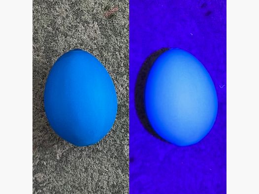 Pollito enano fluorescente azul UV