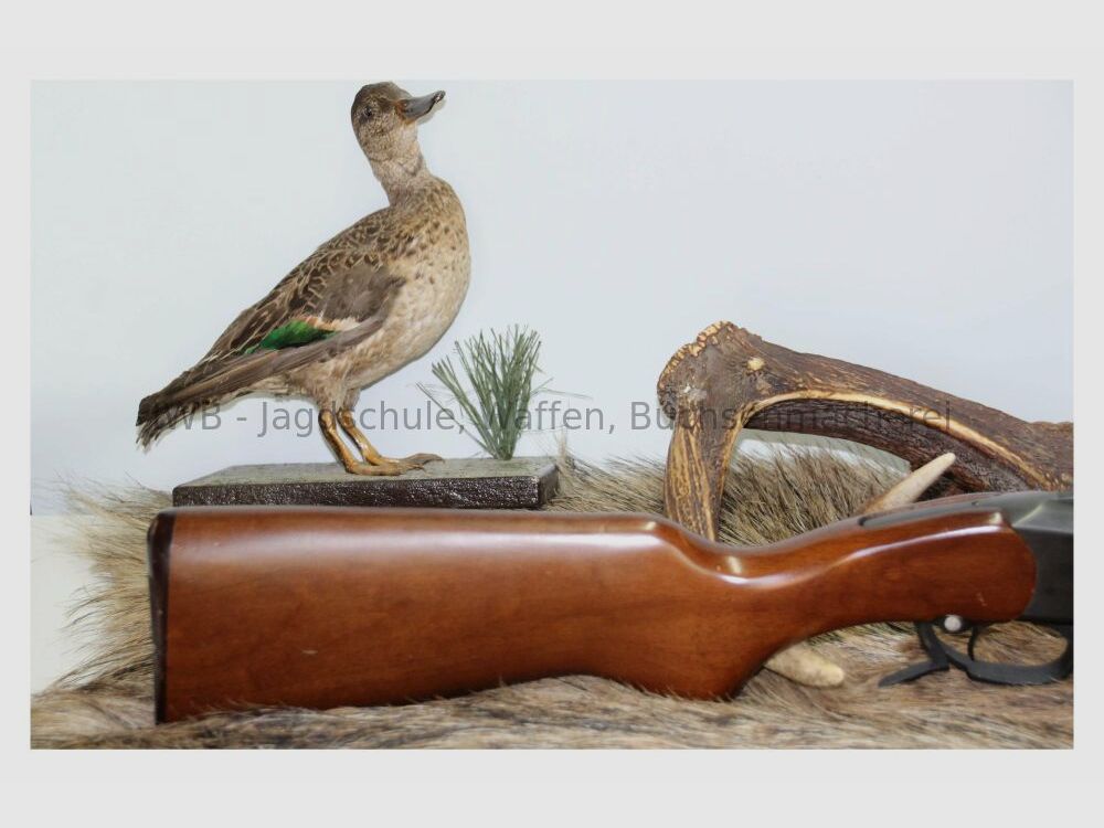 Fusil à un coup Baikal 18-EM-M 12/76