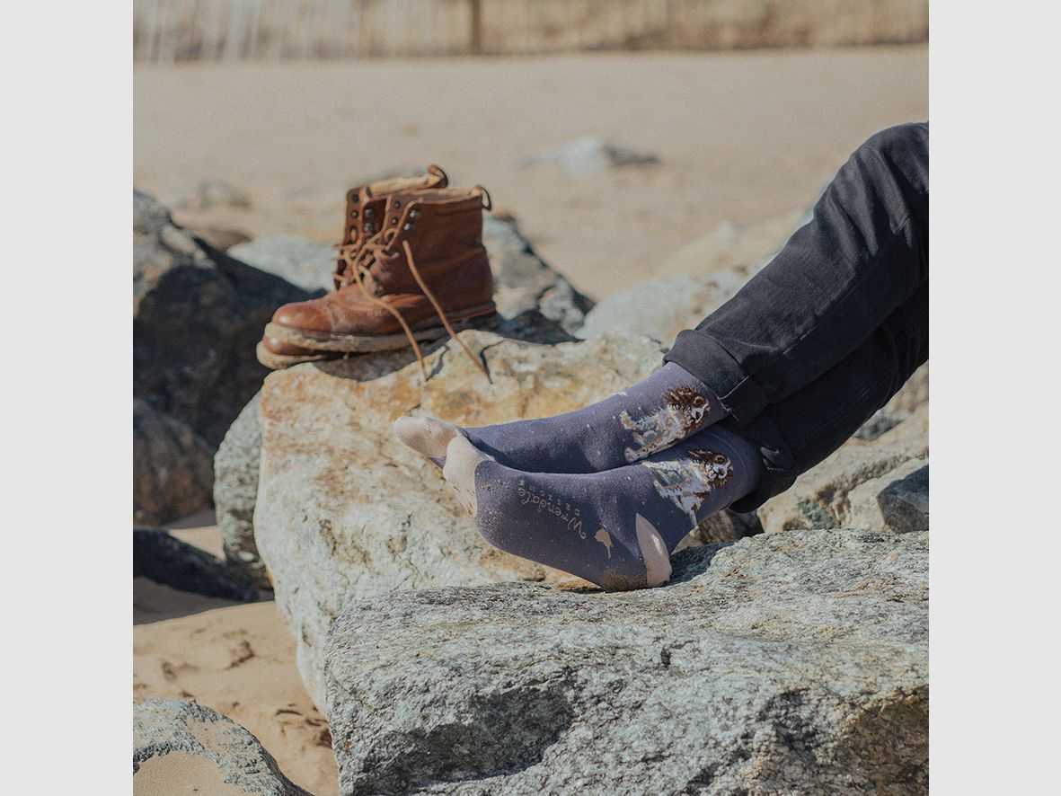 Wrendale Herren - Socken "Willow" mit Spaniel