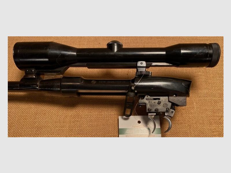 Steyr Mannlicher M