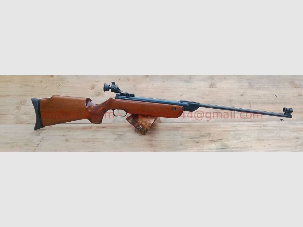 Walther LG 55