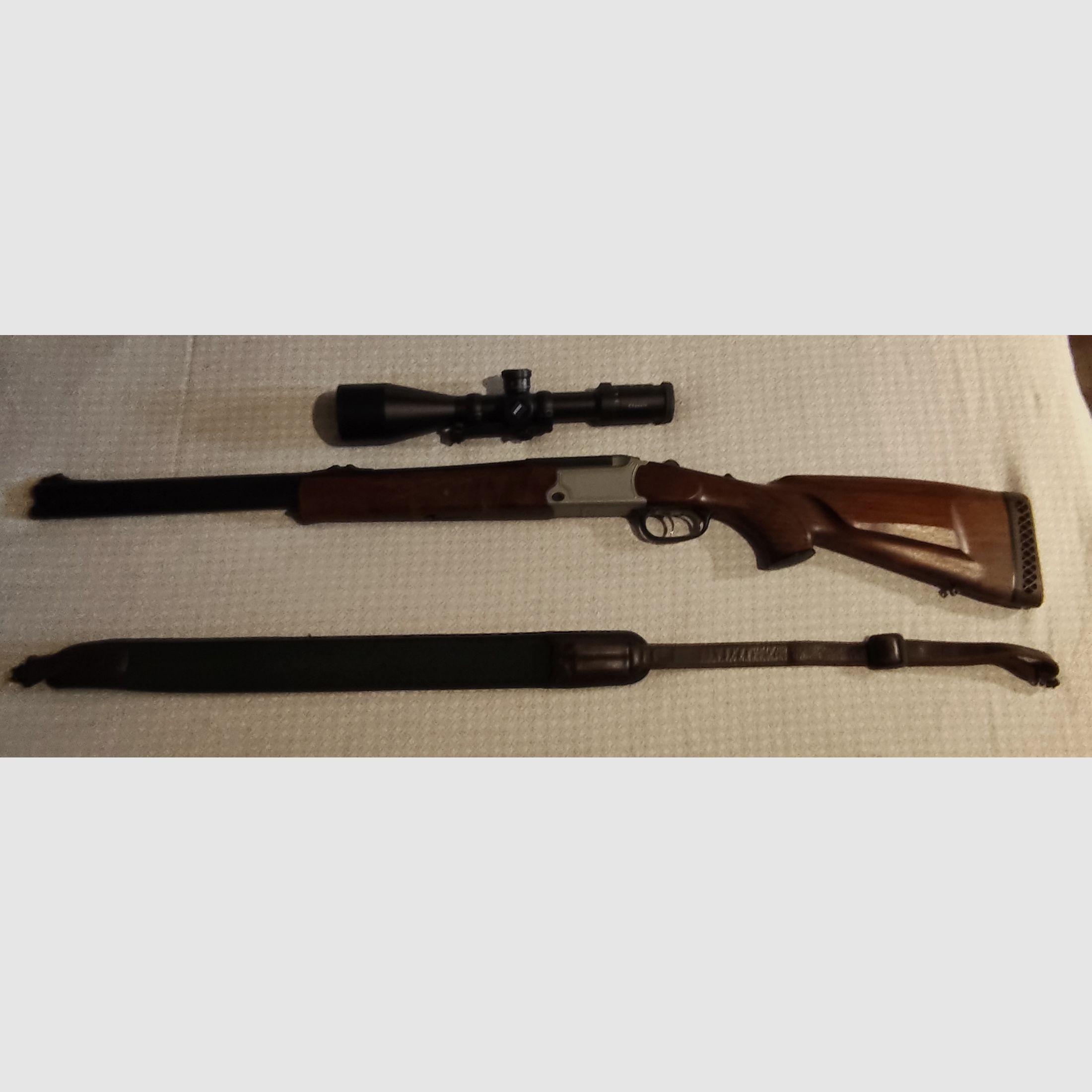 Blaser BBF 95 (.30-06 Spring, 20/76 Magnum) & Zeis Diavari 3-12 * 56 T*