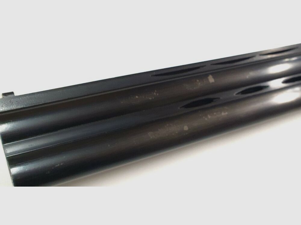 Forest Trap im mit sehr Schönen Gravuren