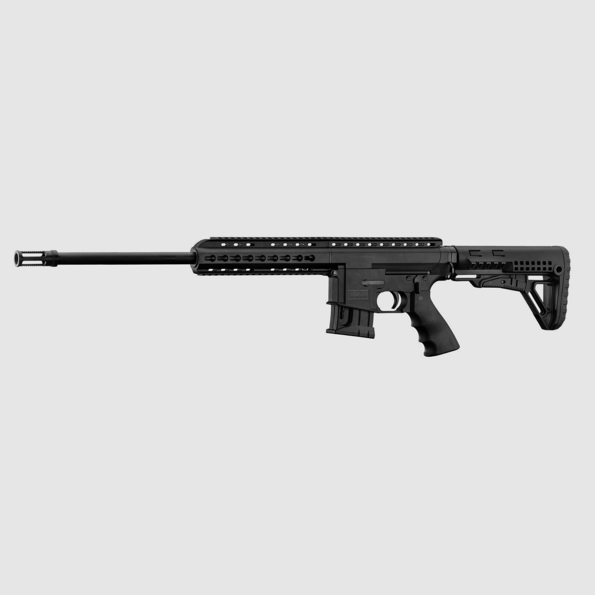 Schmeisser BA15-22 KK carabine de petit calibre style AR15 prix à débattre