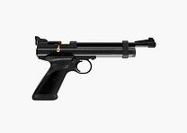 Crosman 2240 Set