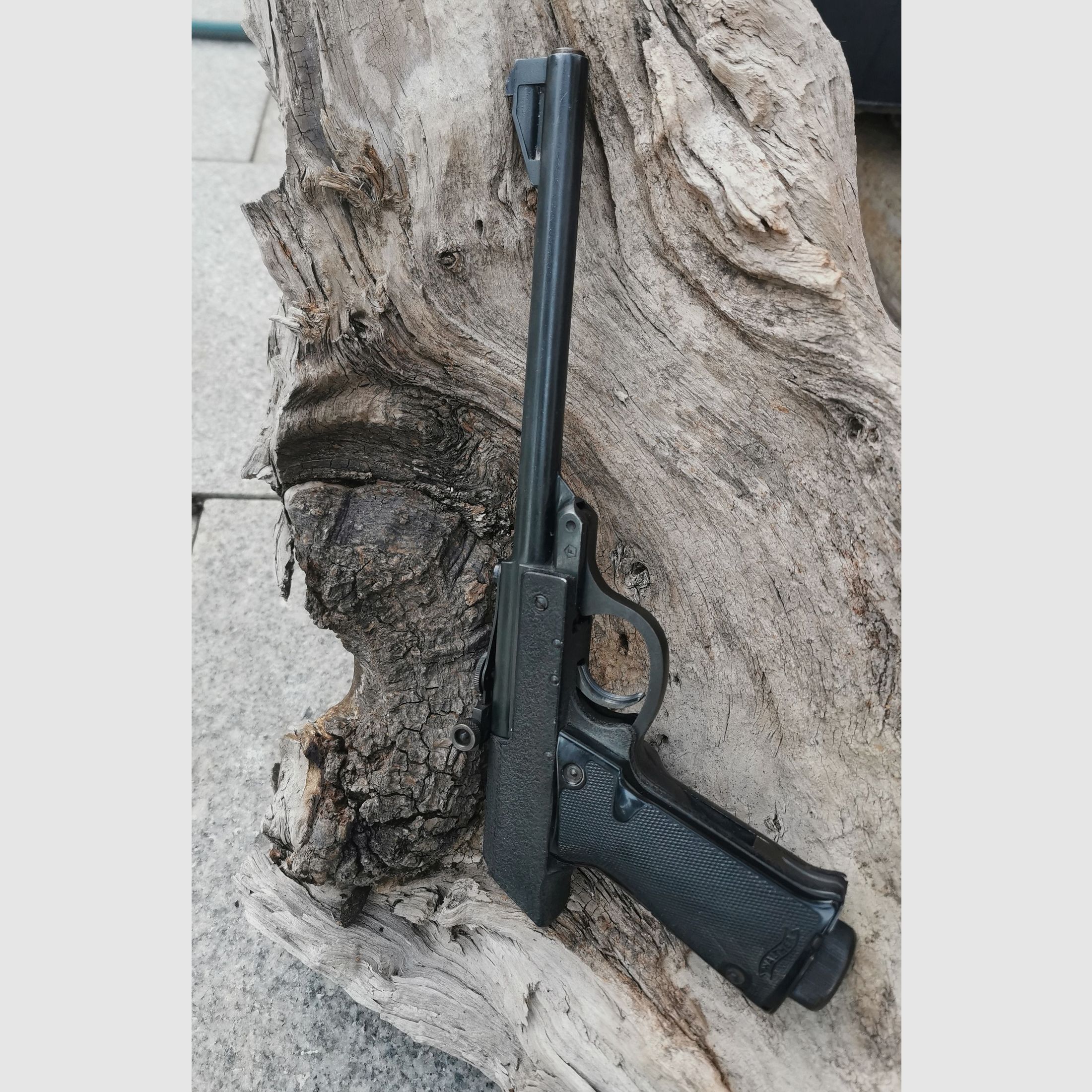 Walther Luftpistole LP53 