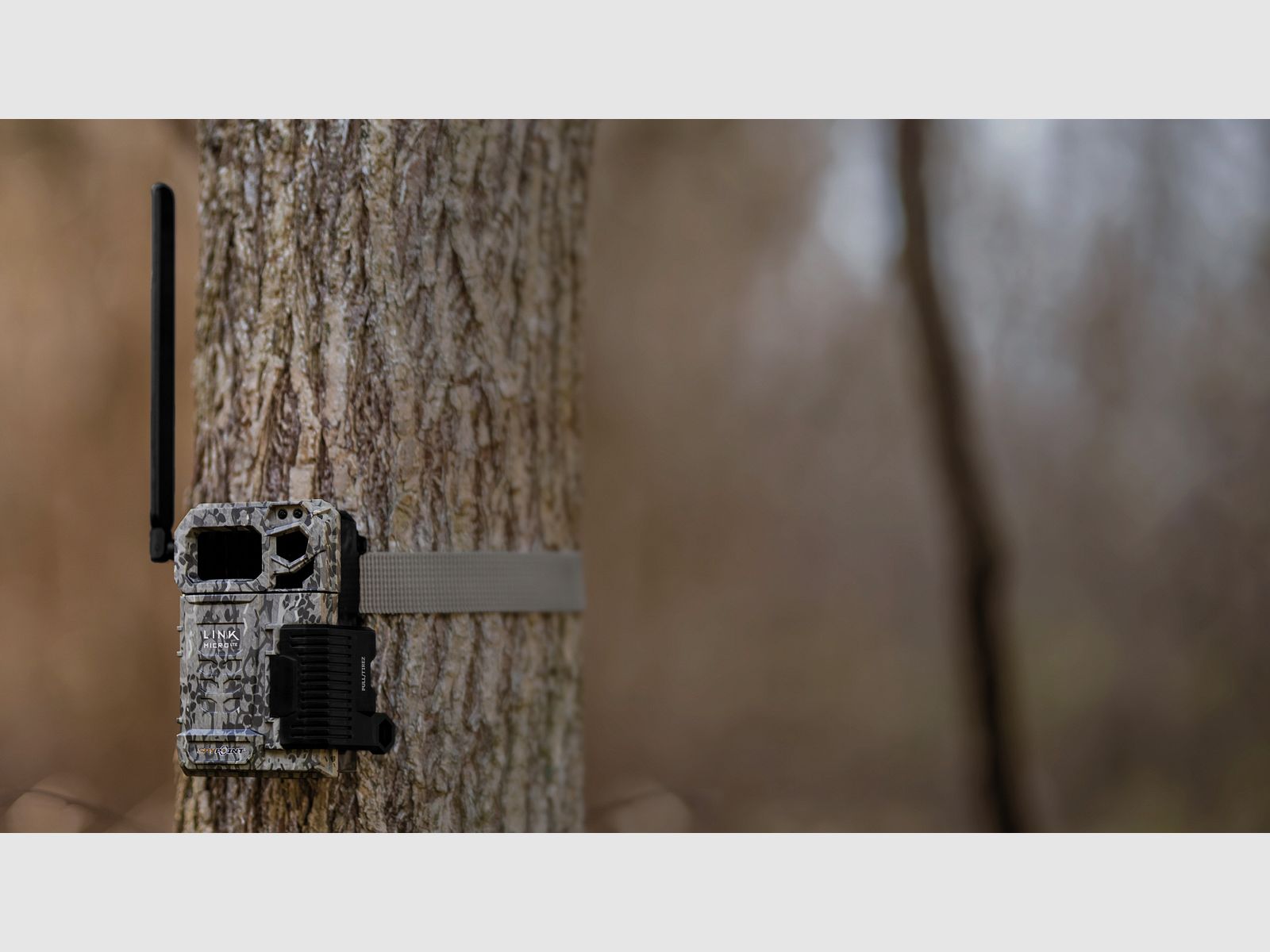 SpyPoint Wildkamera