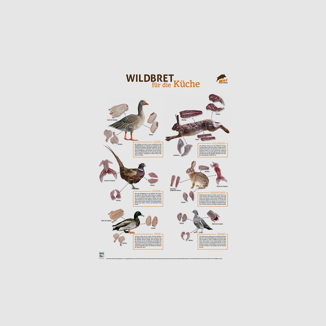 Wildbret-Poster Niederwild