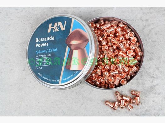 H&N Baracuda Power 5.5mm 200 pieces steel prices
