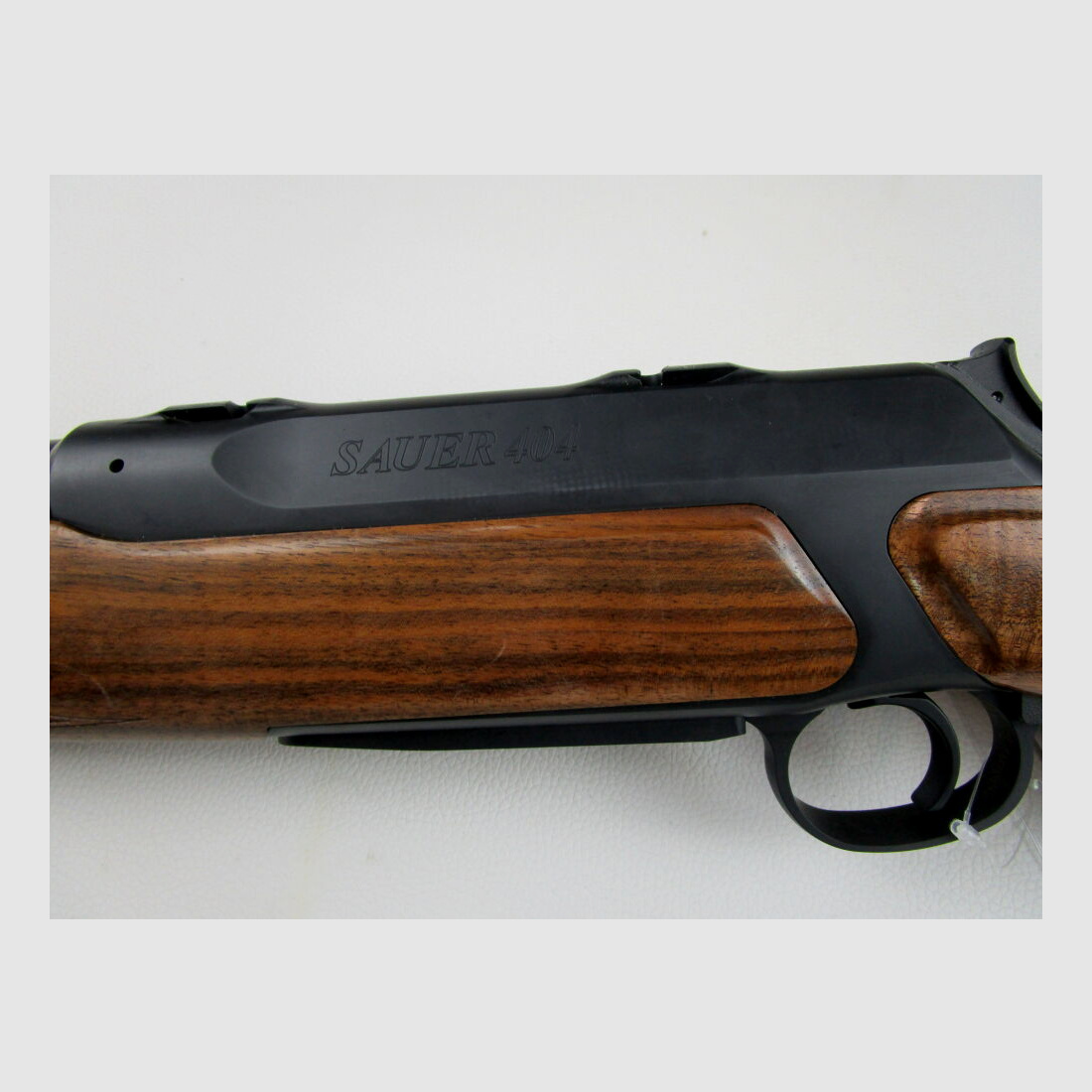 Sauer	 404