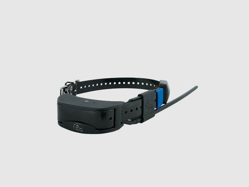 GPS-Halsband TEK – CANICOM