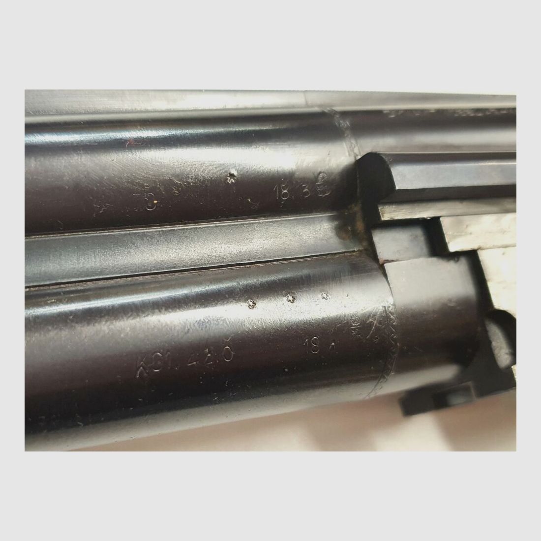 Dynamit Nobel Rottweil 600