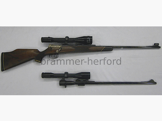 Mauser 66S