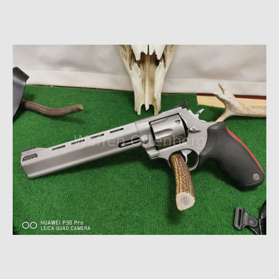 Taurus Raging Bull