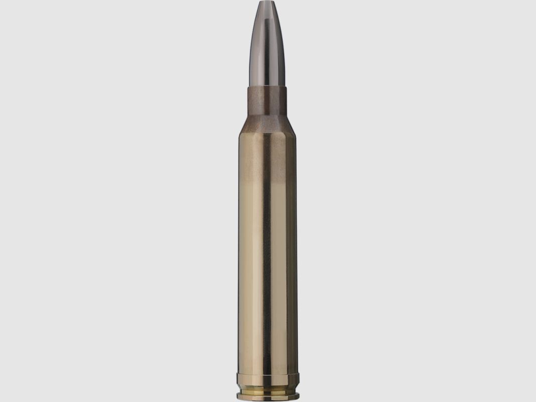RWS 300 Win Mag CINESHOT 9,5Gr 147Grs - Box mit 30, Bild 2 von 2