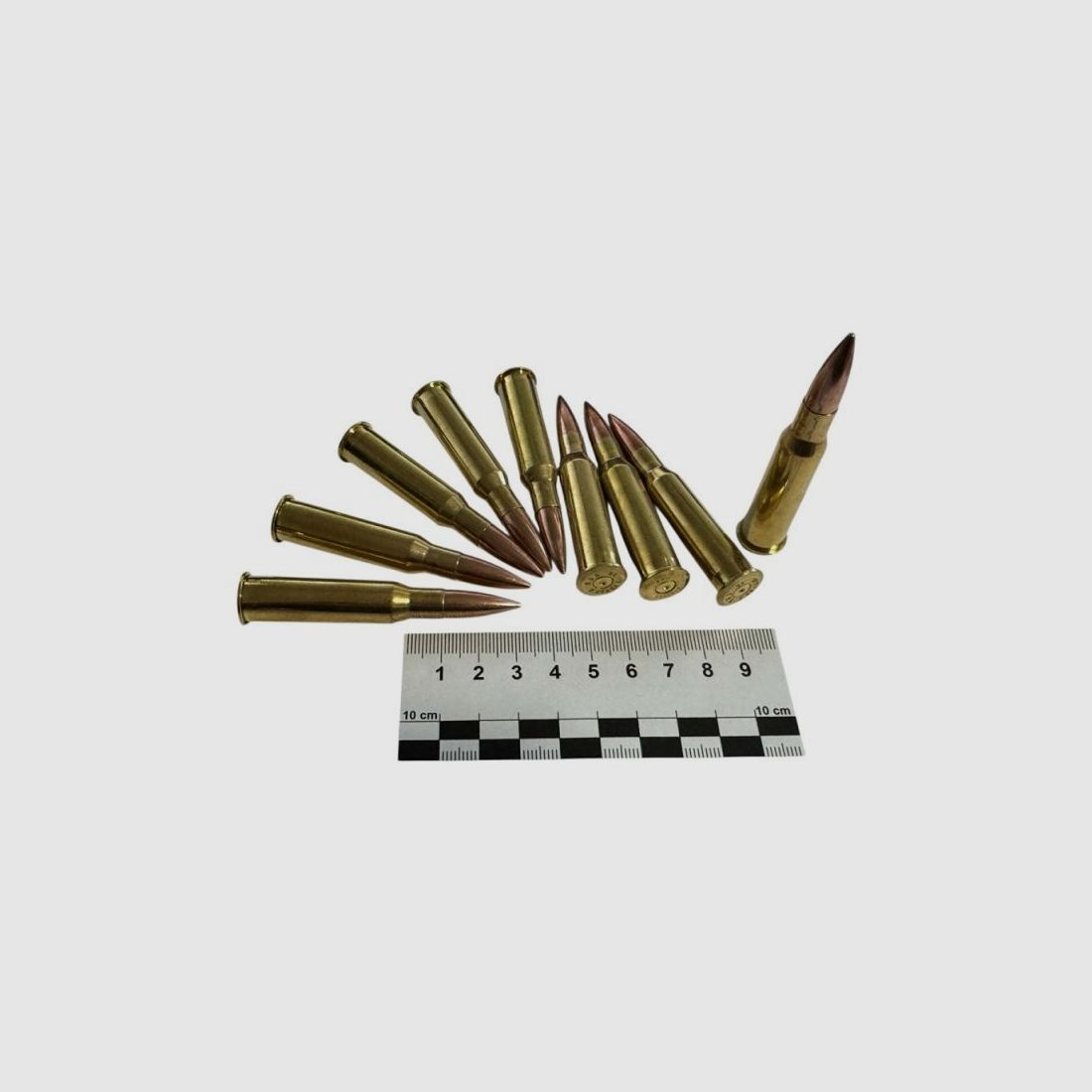 Decommissioning 7.62×54R, 10 pieces in original brass case, full metal jacket bullet