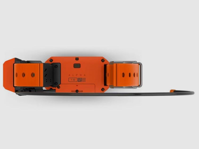 Garmin Alpha T20 K GPS collare per cani / collare per cani