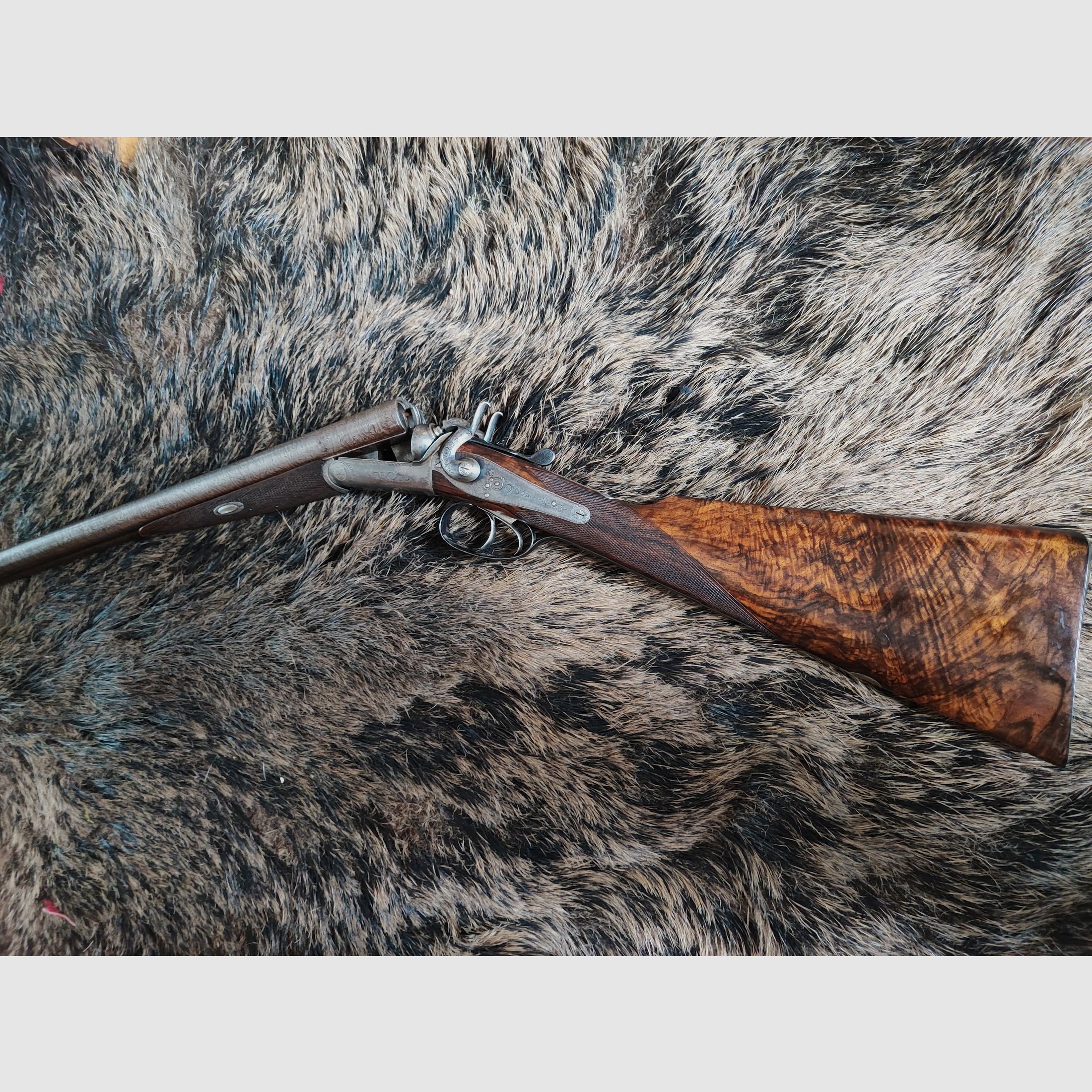 Fusil de chasse