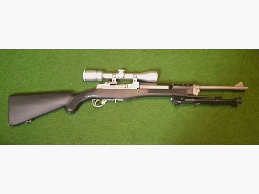 Ruger	 Rugen Mini 14