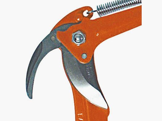 Cuchilla de repuesto para tijeras de oruga Pradines L