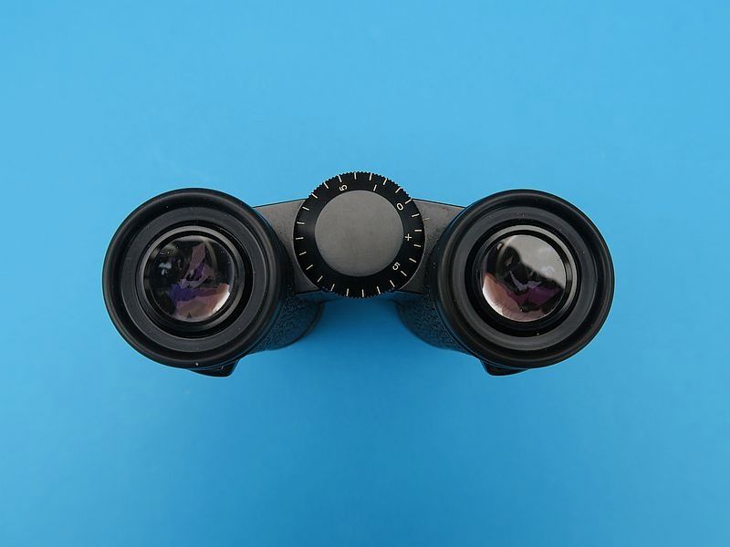 Gebrauchtes Fernglas Dialyt 8x30 B von Carl Zeiss