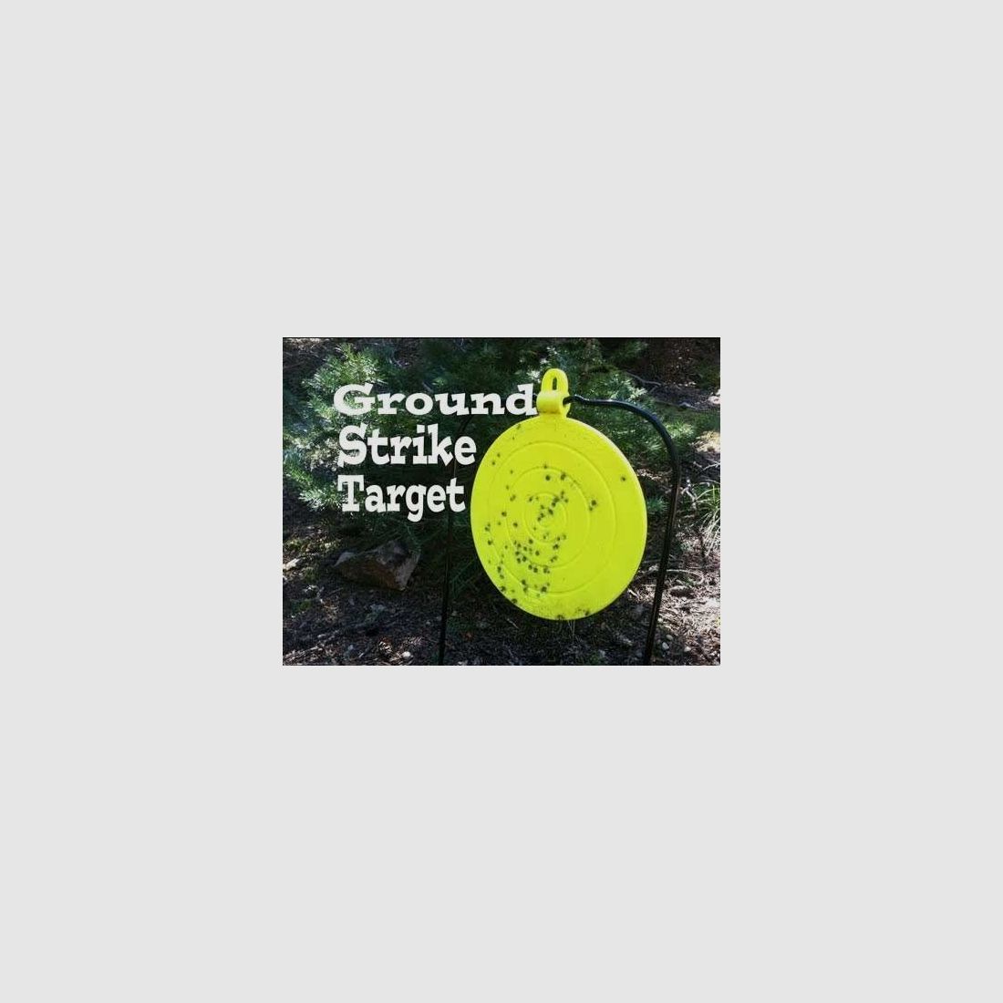 Birchwood Doel Ground Strike Praire Target, afbeelding 2 van 2