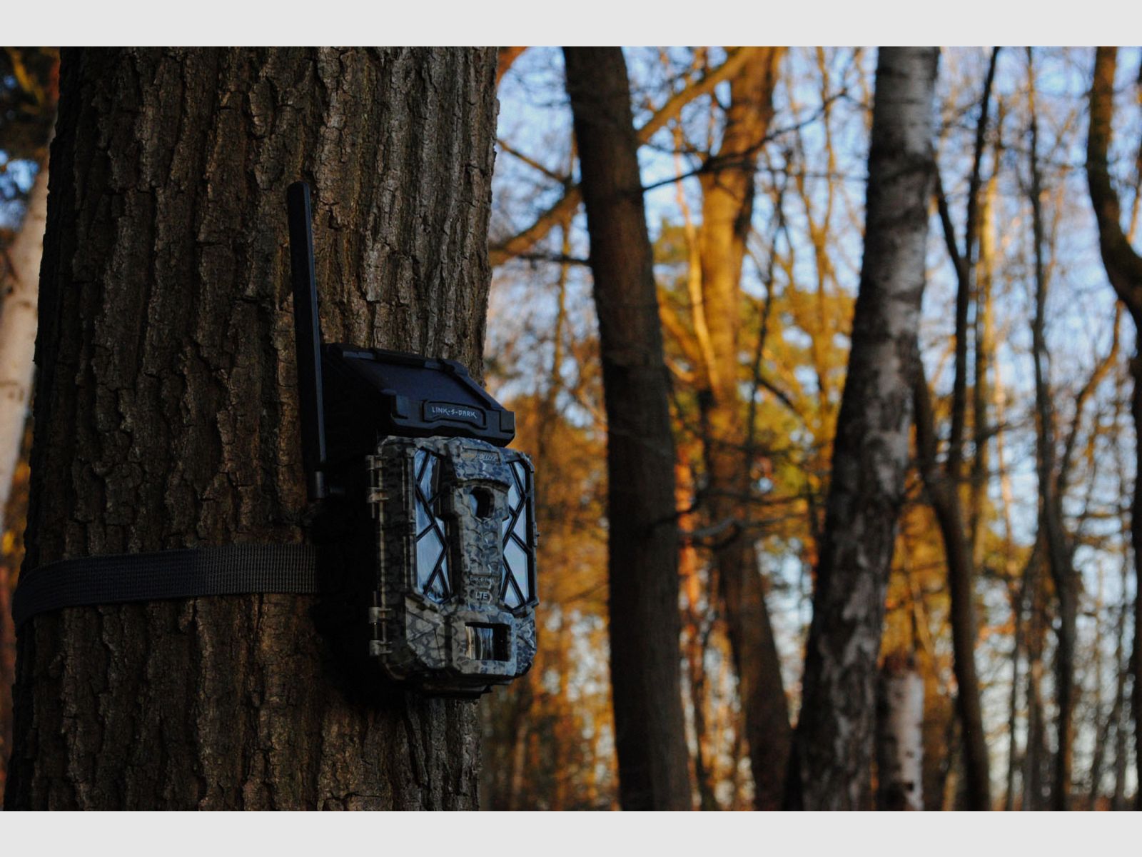 SPYPOINT Trail Camera Link-S Dark