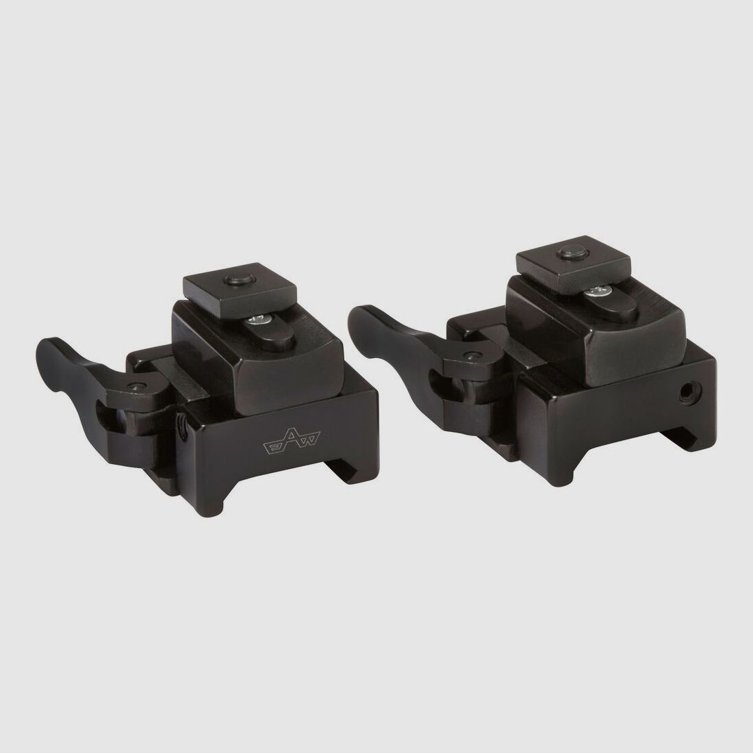 Montage incliné EAW modèle 365 rail convexe