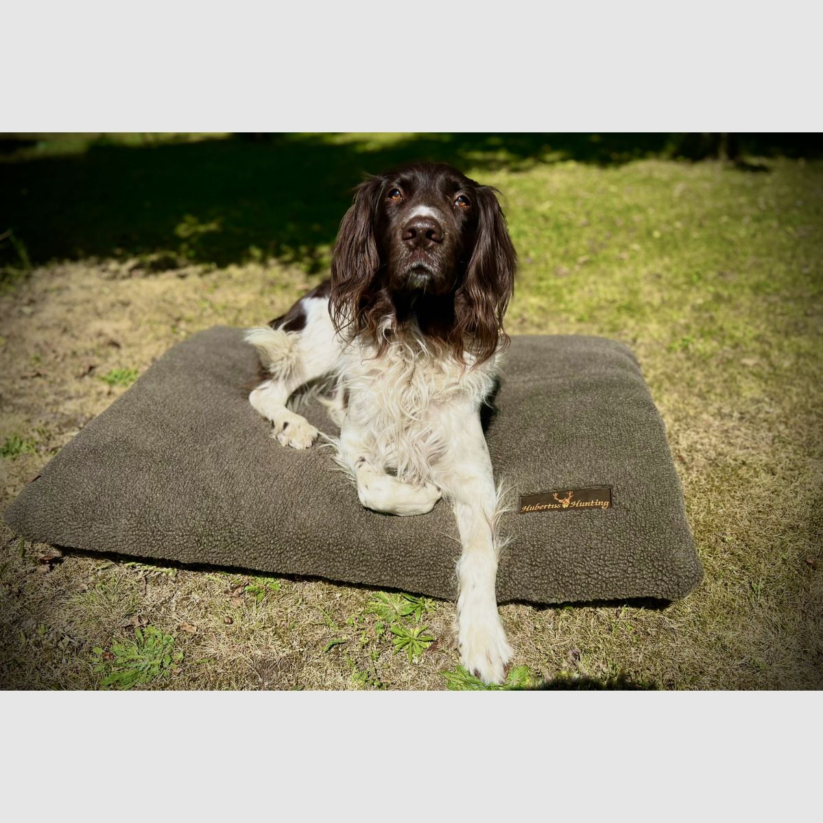 HUBERTUS Faserpelz Hundedecke 95x140cm Oliv