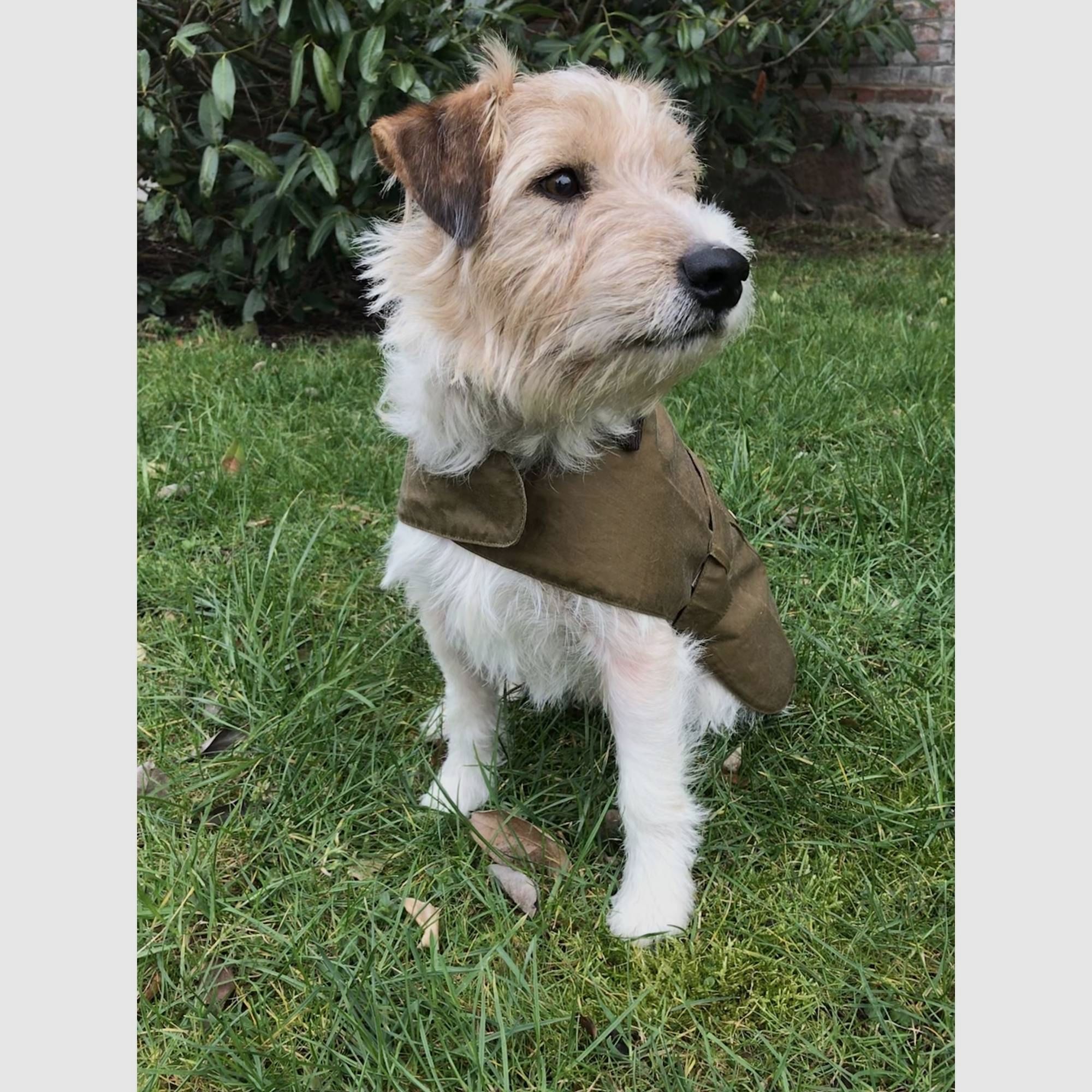 Barbour Lightweight Wax Dog Coat Olive XL