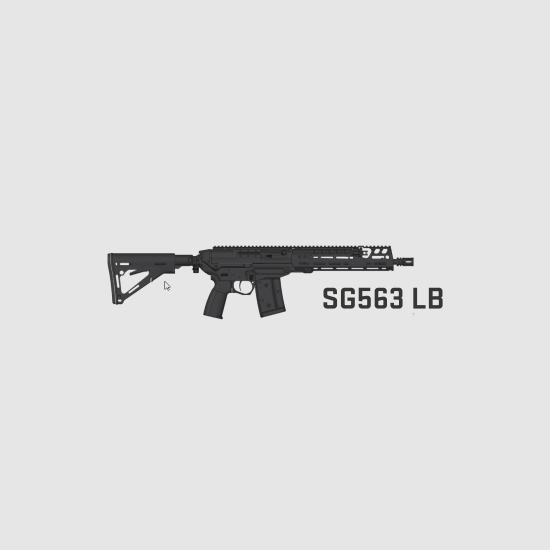 Sig Sauer SG563 LB