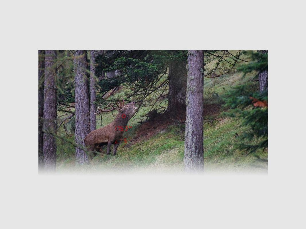 GPO Rangeguide 2800 10x32, imagen 4 de 4
