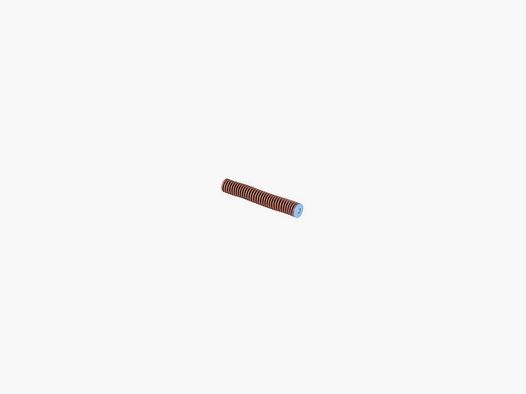 WALTHER Recoil guide rod assembly, 48 N, Tungsten for PPQ, Q5 Match 5 inches