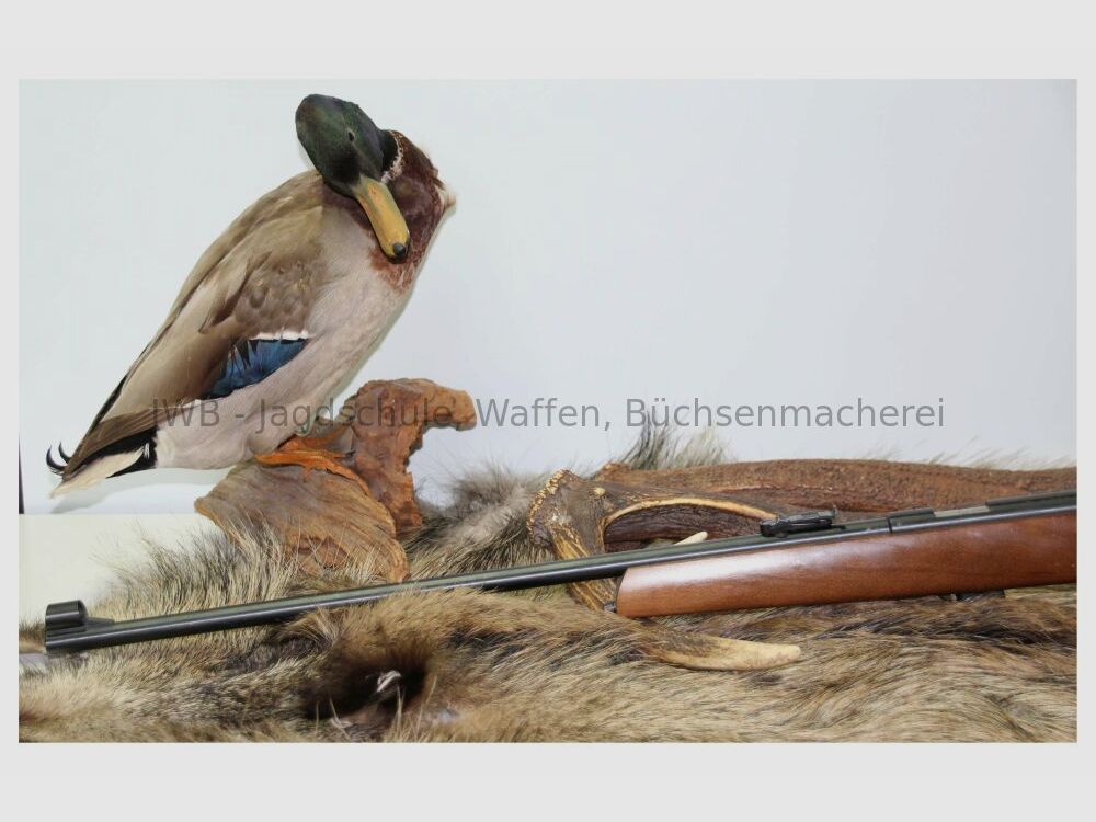 Mars Repetierbüchse .22 lr .22lr