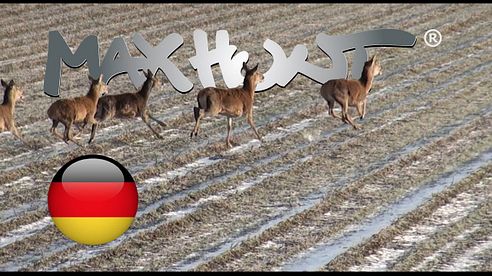 Die Abstauber Jagd - Rotwild ohne Ende!!!