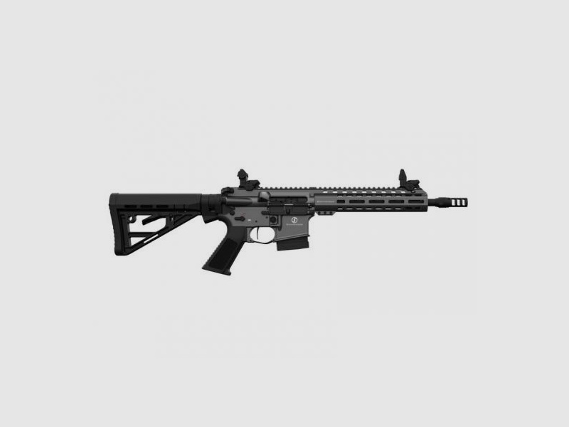 SCHMEISSER AR15 Dynamic-Grey 10,5"