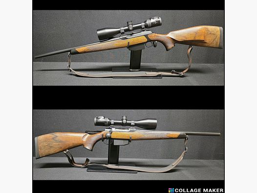Sauer 202