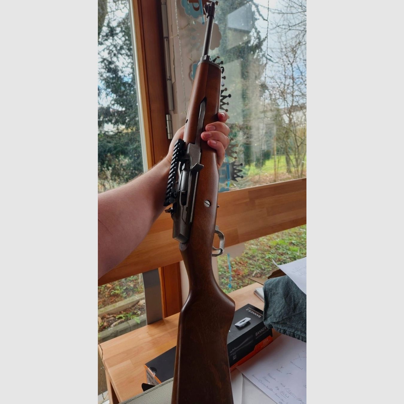 Ruger Mini 14 223