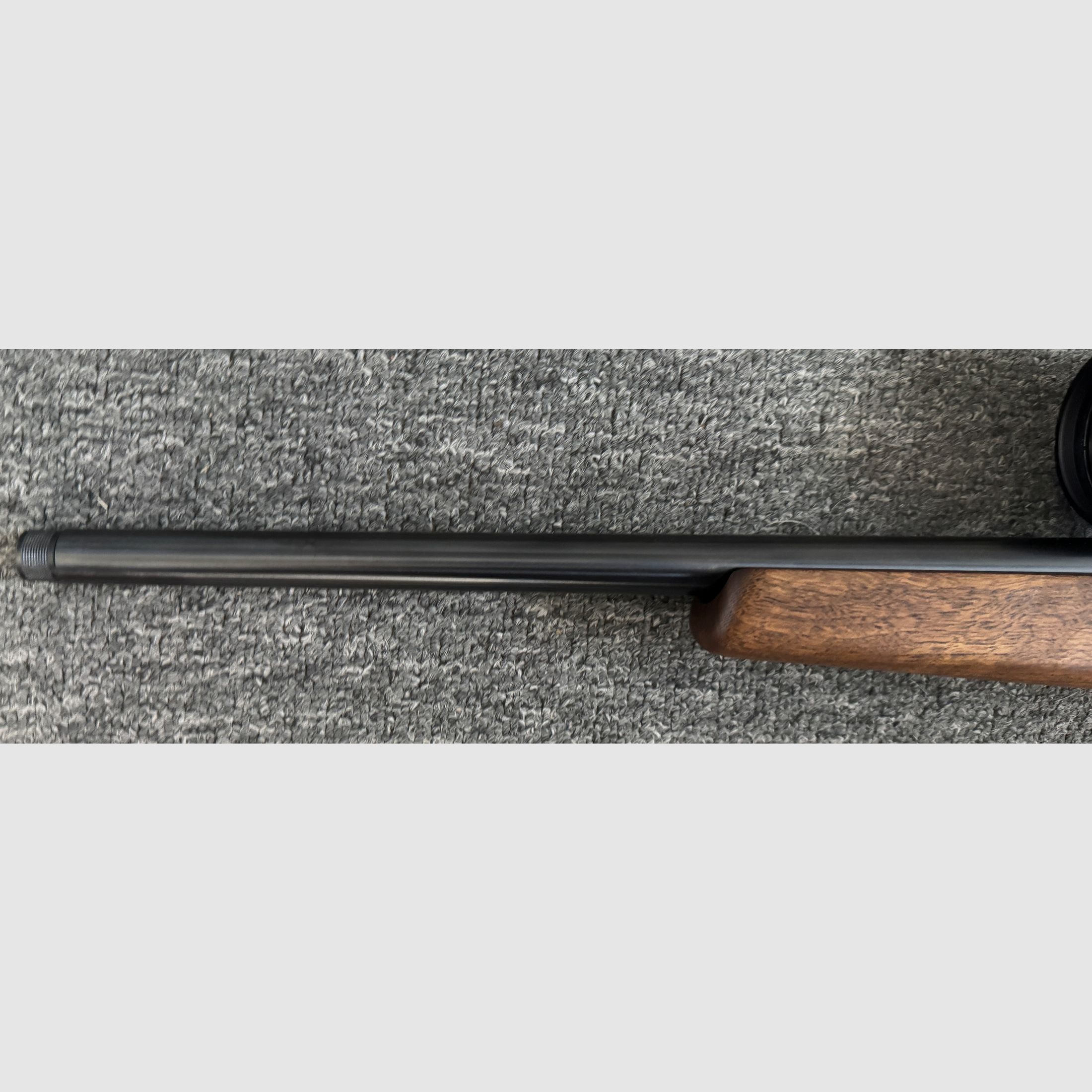 Weihrauch HW66 Production .17 Hornet con Geco 3,5-18x56 LP