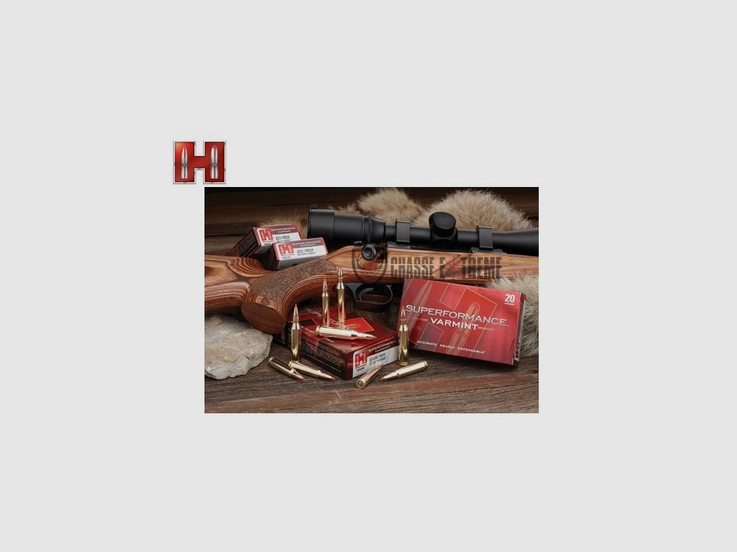 20 Munitions HORNADY Superformance Varmint 204 Ruger 30 Gr Ntx, image 2 sur 2