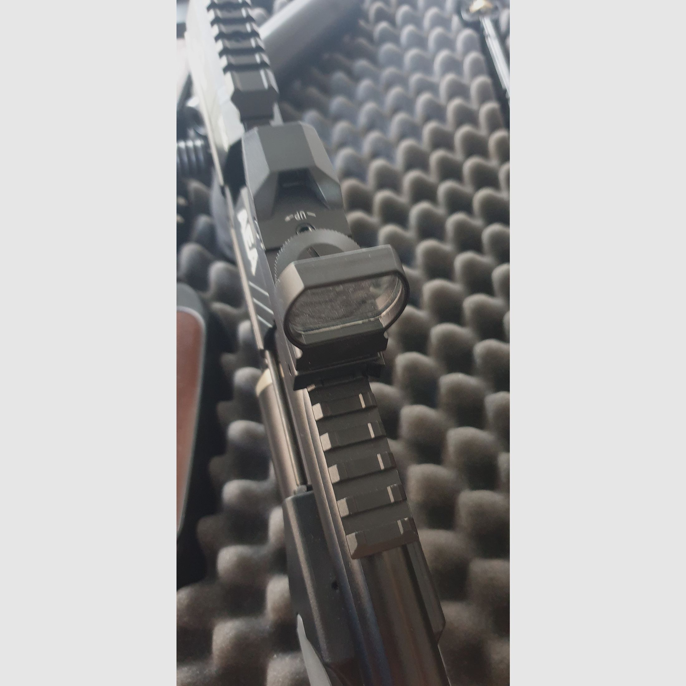 AEA MEGALODON with case and silencer