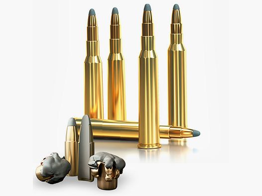 Sellier Bellot 30-06 SPRING SPCE munizioni in VRAC 11,7g, 180gr per 50